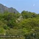 青城丈人